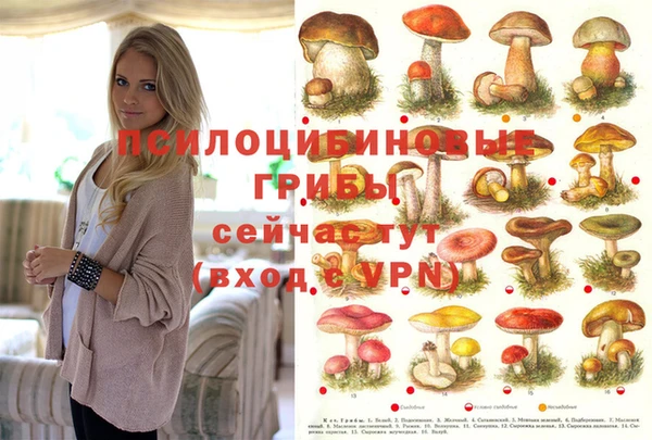 COCAINE Алзамай
