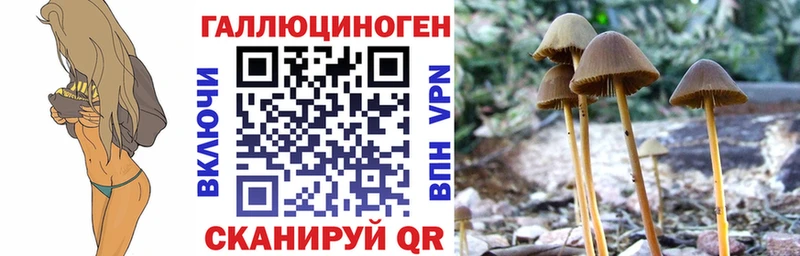 хочу   Южно-Сахалинск  Галлюциногенные грибы Psilocybine cubensis 