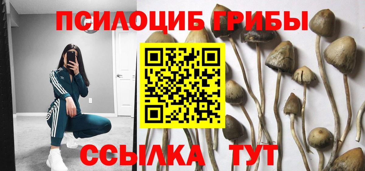 цена   Галлюциногенные грибы Psilocybine cubensis  Вход с VPN  Галлюциногенные грибы мицелий  Южно-Сахалинск 